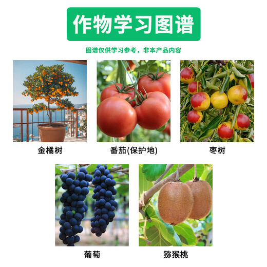 Yiguolingthibenfuron grape tomato fruit tree fruit setting large fruit plant growth regulator expansion agent pesticide 120ml 30ml 4 bottles