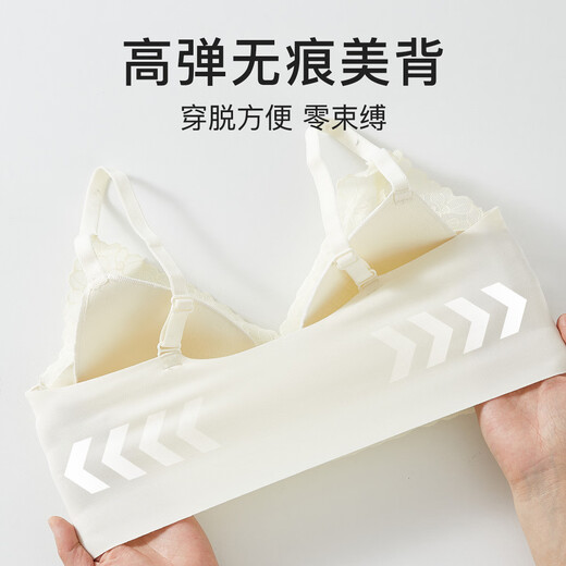 芬腾【蕾丝大胸提拉防下垂】无钢圈聚拢收副乳上托调整型内衣女士文胸 浅绿 75B /34B