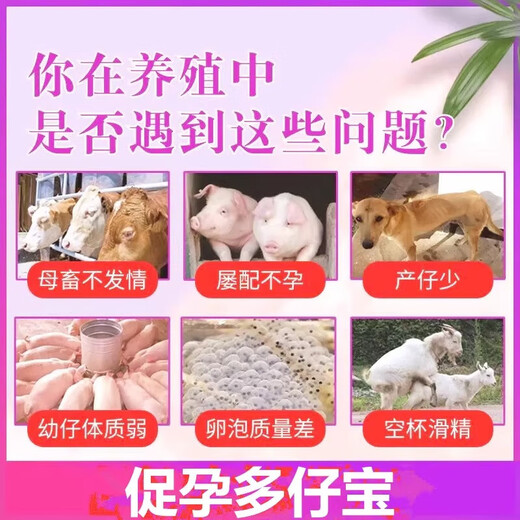 Veterinary pigs, dogs, cows, sheep and rabbits, affectionate pregnancy-promoting multi-baby treasures, affection-inducing female livestock ovulation, mother-fertility feed additives 1 bag price