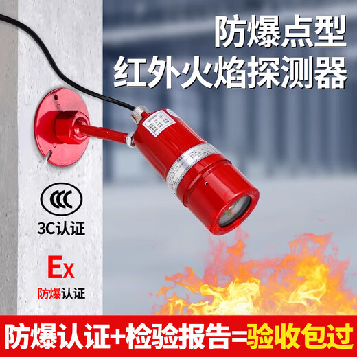 Bodyguard BODYGUARD Taihean fire linkage smoke alarm fire host explosion-proof flame detector factory warehouse 242-point wall-mounted fire host