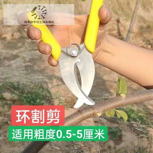 Fruit tree ring grafting shears, girdling shears, girdling shears, girdling shears, grape girdle girdling shears, fruit tree durable yellow girdling shears (no serrations)