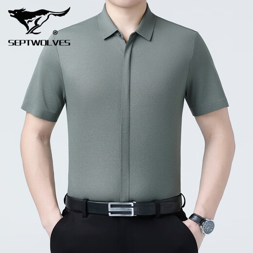 Sieben Wolf Mulberry Silk Short Sleeve Shirt Herren Sommer Neues Freizeitgeschäft No Bügelhemd mit mittleren Alter dünne halbärmelige Top 6913 Graues Grün 4xl 195/135