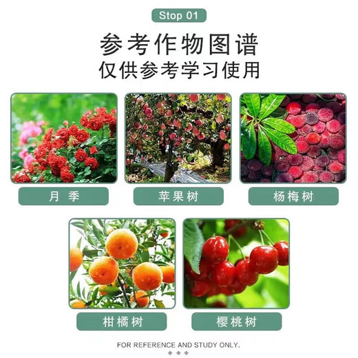 2% benzylaminopurine rose fruit tree flower flowering and germination-preserving flower and fruit-preserving cytokinin 10ml*5 bags