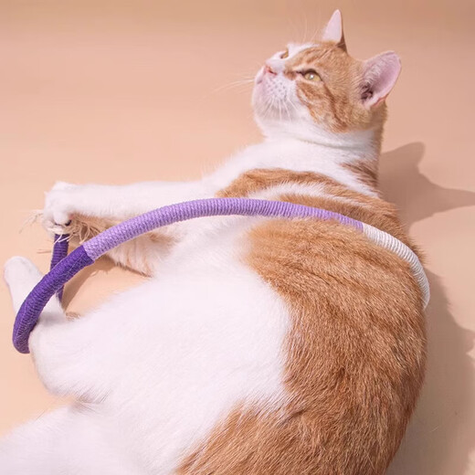 Jingdong Express Cat Bite Rope Cat Toy Self-Happiness and Boredom Relief Artifact Resistant to Bite and Molars Cat Stick Supplies Upgraded One Bite Rope 70cm-Purple