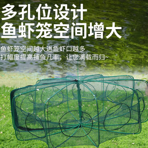God Shark 6 hole diameter 50 fish net shrimp cage fishing cage automatically folds out only into the fishing net ground dragon net eel cage fishing gear