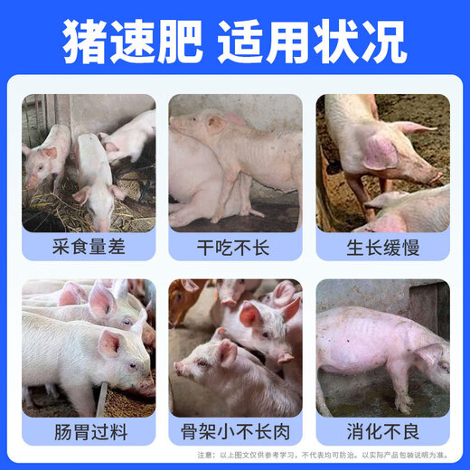Pig fattening and enlarging the skeleton, growth-promoting premix, rapid growth, early slaughter, weight gain, feed additives for fattening pigs. Buy 3 barrels, get 3 barrels free, 6 barrels in total.