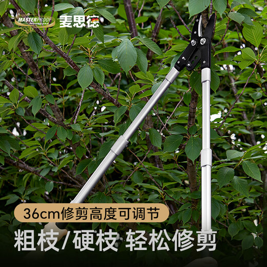 MASTERPROOF telescopic branch shears, powerful thick branch shears, large scissors for pruning branches, pruning branches, fruit tree pruning scissors