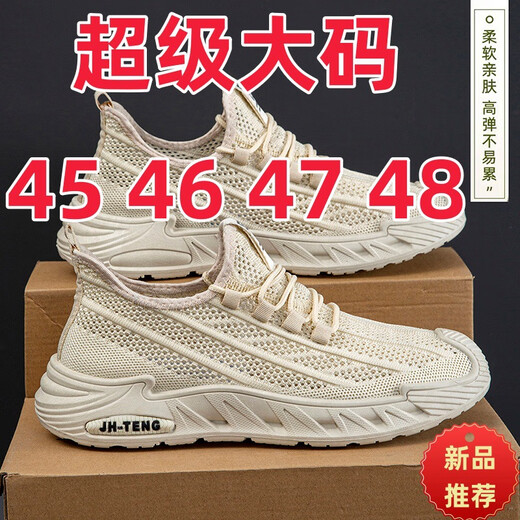 昌祥回力大码男鞋春夏季2025新款透气网面鞋子男4546 47 48跑步休闲运动鞋 FH-亿博25-2黑色 47