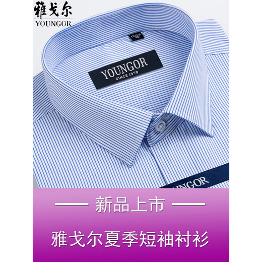 CEO雅戈尔男士短袖衬衫夏季商务休闲职业正装棉免烫中年大码条纹衬衣 短袖DX6624 38