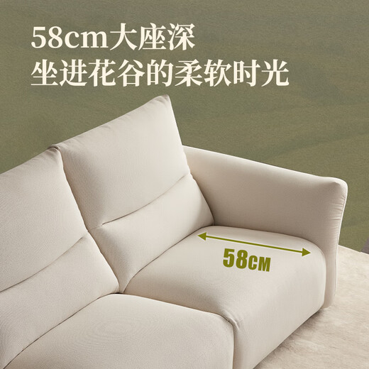 Lezhibao lazboy canapé fonctionnel salon de style crème tissu électrique zéro canapé mural de fleur vallée promenade 679 yunlanbai - trois personnes gauche électrique - 2,59 mètres