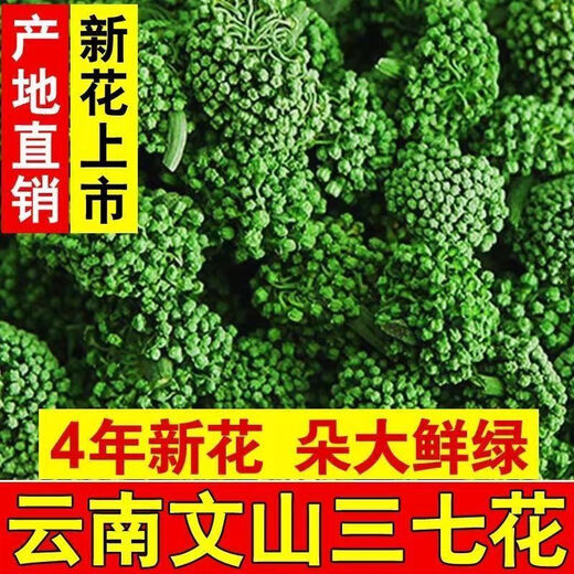 Peking Tongrentang Sanqihua Yunnan Wenshan Special Wild Vierjähriger Pflanze Qihua Health Tee ausgewählt Vierjährige neue Blume 100g