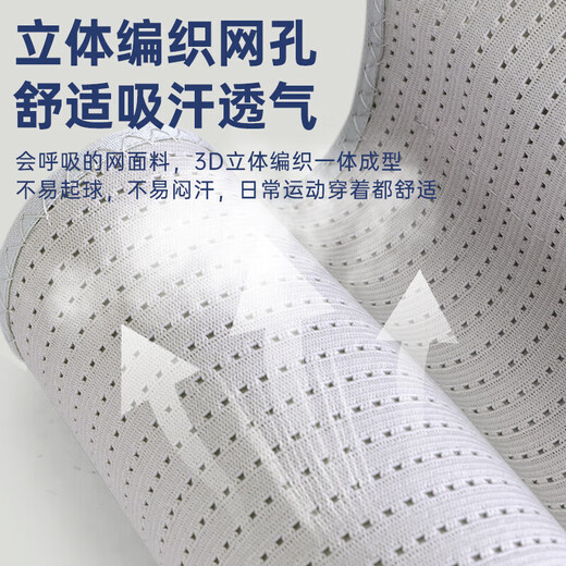 李宁（LI-NING）护腰带钢板支撑腰间盘突出腰椎脱腰劳托损男女士久坐腰部神器