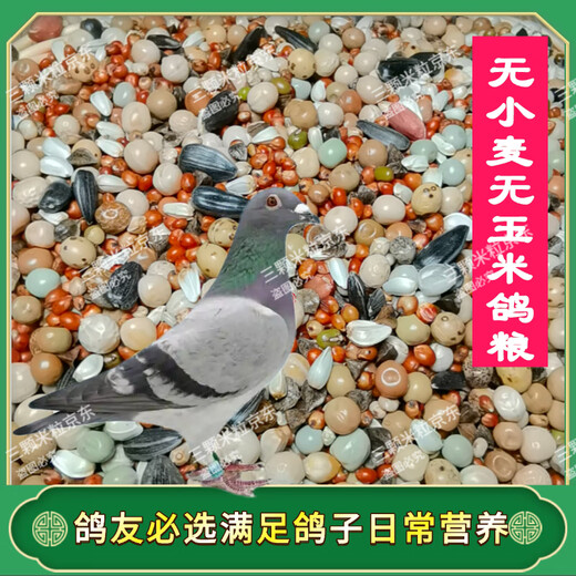 New pigeon food 20 Jin Jin is equal to 0.5 kg. Corn-free pigeon food with corn pigeon feed racing nutrition pigeon food for adult and young pigeons 5 Jin Jin is equal to 0.5 kg. No wheat and corn high-quality pigeon food 20 Jin Jin is equal to 0.5 kg.
