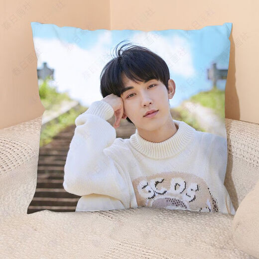 Chengliu guo junchen oreiller fleur rong yanyue même style périphérique en peluche coussin canapé de tête de tête