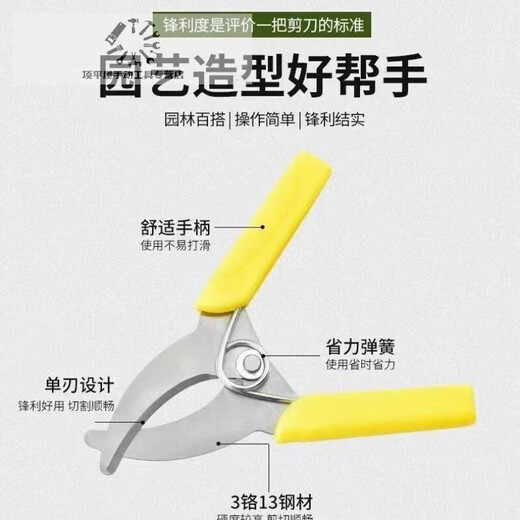 Fruit tree ring grafting shears, girdling shears, girdling shears, girdling shears, grape girdle girdling shears, fruit tree durable yellow girdling shears (no serrations)