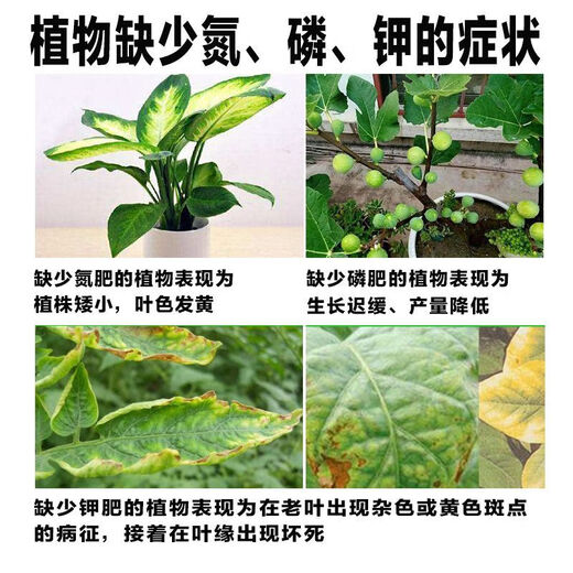 Phosphate fertilizer, superphosphate, vegetable and flower fertilizer, fruit tree, flower and agricultural crop general-purpose flower-stimulating calcium phosphate fertilizer. Phosphate fertilizer/superphosphate 1 Jin Jin is equal to 0.5 kg