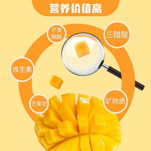 Jingxiansheng Panzhihua Kate Mango, net weight 9Jin Jin is equal to 0.5kg, single fruit 500g+, fresh fruit, straight from the source