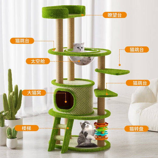 Cat Rack Cat Cat Rack Rack Momed Rattan Mat Nest Nest Cat Arbre Capsule Integrate Space Cat Toy Cat Small Size N'occupe pas l'espace Aisha Milano-T15122CM Plateforme de saut multicouche