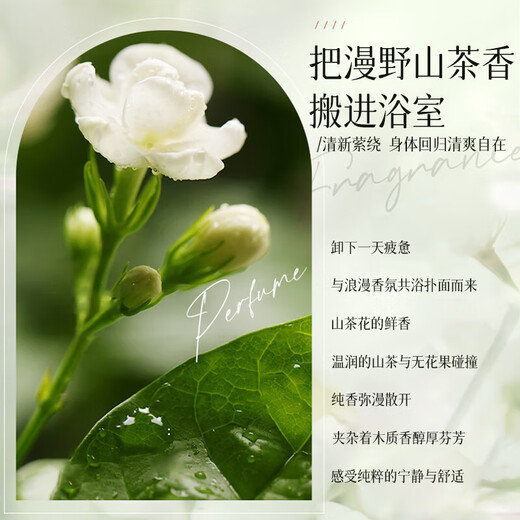 [Camellia Fragrance] Le shampooing de camélia élimine les pellicules et contrôle l'huile duveteuse et le parfum durable pour nourrir l'hydratation et hydrater des camélia de grande capacité [3 bouteilles de shampooing + 2 bouteilles de gel de douche]