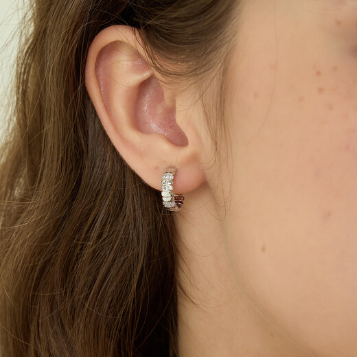 Arsis freely matches snake bone small earrings, women's fashionable simple earrings, versatile earrings as a gift for your girlfriend, snake bone small earrings - silver