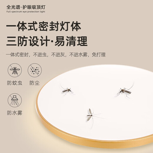 Er Jiangong LED-Deckenleuchte Schlafzimmer Augenschutz Lampe 2025 Neu einfaches modernes Zimmer Licht Sinn runde Lampe 40W Volles Spektrum Ra9737cm Gold 40W-Monochrom