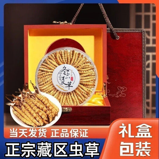鹿章堂冬虫夏草礼盒装正宗藏区雪山虫草送礼佳品品质保证当天发货 西藏那曲精品虫草3条1克50条