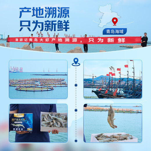 Fishing Travel Notes Qingdao Prawns Net 3 Jin Jin is equal to 0.5 kg 75-90 salt-frozen white shrimps, base shrimps, salt-frozen fresh shrimps