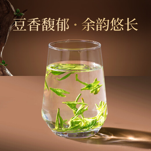 West Lake Shijing 2025 New Tea Mingqian Special West Lake Longjing Tea Gift Box 200g Regalos de té verde para ancianos Líder Padre