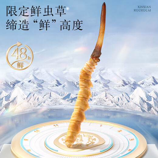 Tongrentang Brand Beijing Tongrentang Fresh Cordyceps Cordyceps Cordyceps Boîte-cadeau Fresh Cordyceps sans cadeaux de l'herbe cassée pour les aînés 1 boîte 40,5g 3a Cordyceps frais 50 0,8-1 G / T