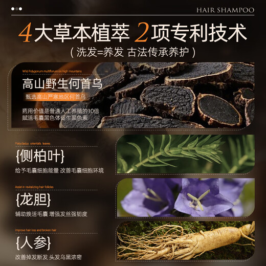 
EXPRESSIONS Singapore imported Polygonum multiflorum ginseng shampoo 480ml white hair transformation black hair root shampoo