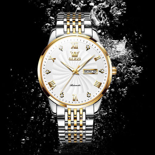 OLEVS Swiss Certified Watch Mechanical Watch Mechanical Watch Totalmente automático Luminoso Water's Watch Doble Calendar Business Watch Olevs-6630 Steel White