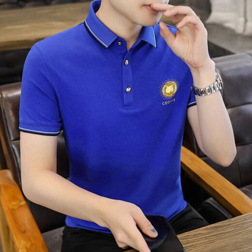 FJLT轻奢高档品牌polo衫男士T恤夏季新款时尚短袖翻领商务透气上衣 F6628（白色） L (建议115-130斤)