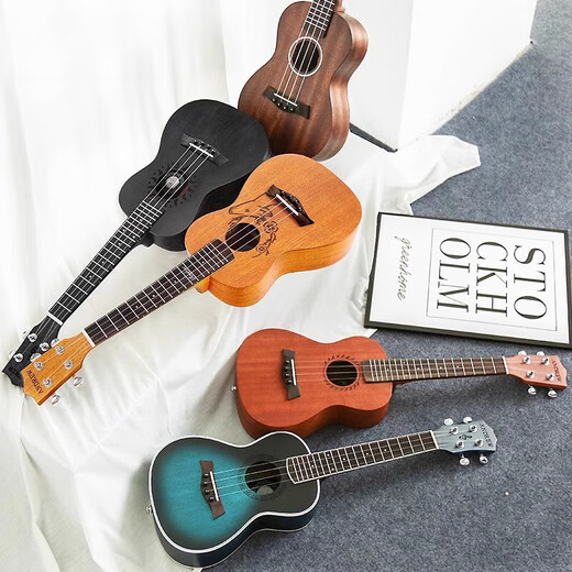 He Jiagong Ukulele Beginner y principiantes para las niñas Vancouver Vancouver de 23 pulgadas Pequeño Guitar