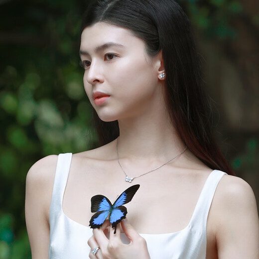 范琦（Fanci）蝶光项链女士蝴蝶夜晚发光锁骨链纪念日表白礼物生日送女友送闺蜜 蝶光项链 真爱玫瑰礼盒