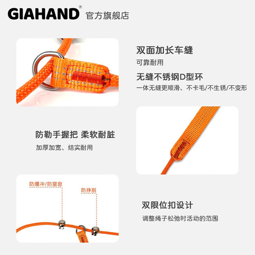 GIAHAND competition grade P rope fine dog training P chain dog walking small and medium-sized dog rope explosion-proof pet dog leash, extremely night black, total length 1.5 meters, suitable for training, dog walking