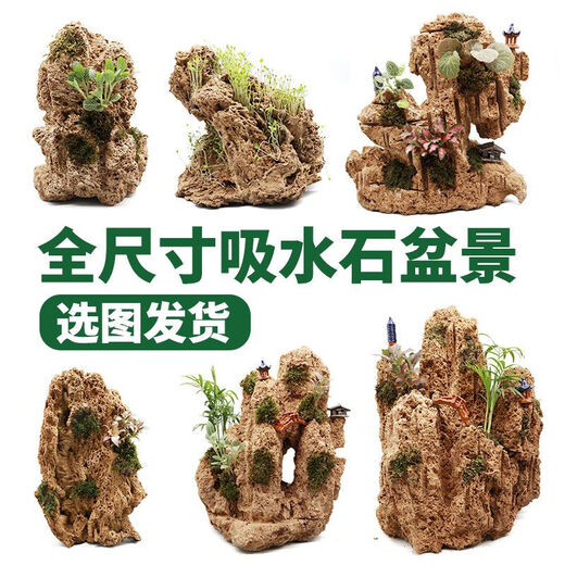 Water-absorbing stone 10-160CM natural water-absorbing stone raw stone water stone stone mountain bonsai rockery fish tank landscaping ornaments micro only stone 20-24 water-absorbing stone package