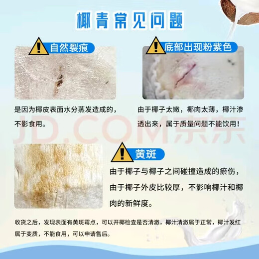 Fruit Pier Thailand imported perfumed milk coconut natural coconut coconut green single fruit 900g Fruit Pier Perfume Coconut 9 pieces packed with coconut opener and straw