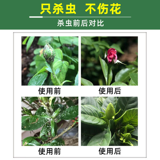 Guoguang-insecticida imidacloprid, pequeña medicina blanca, flor, planta vegetal, pulgón, gránulos de suelo, ajenjo, aerosol genuino, 200g