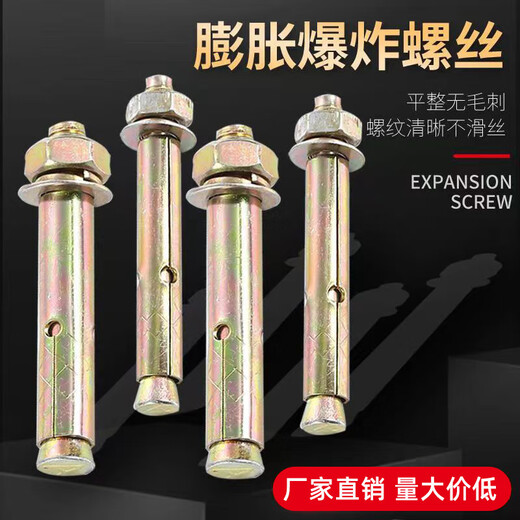 维诺亚膨胀螺丝彭张螺栓加厚加长拉爆膨胀管铁爆炸螺丝钉大全批发 国标 M12807个
