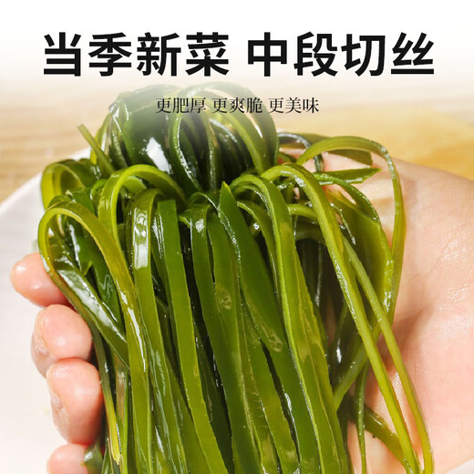 鲸甘郎压缩海带丝干货圆饼昆布即食海洋蔬菜凉拌海带苗嫩特级下饭菜批发 压缩海带丝 尝鲜22g*5片
