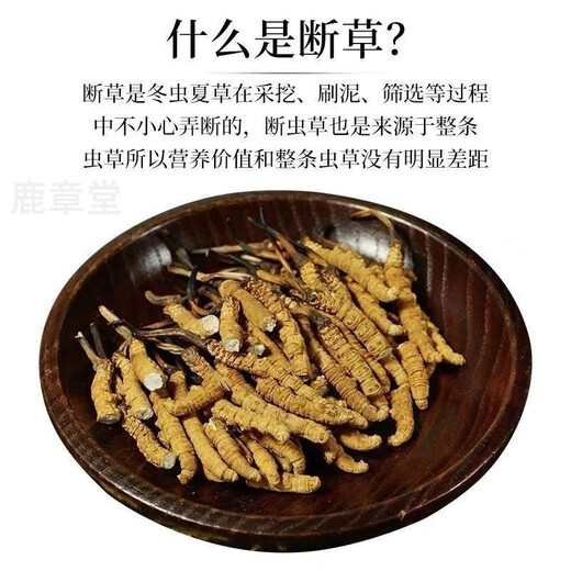 Authentische tibetische Gegend naqu großes gebrochenes Gras frisch cordyceps sinensis gebrochenes gras cordycep