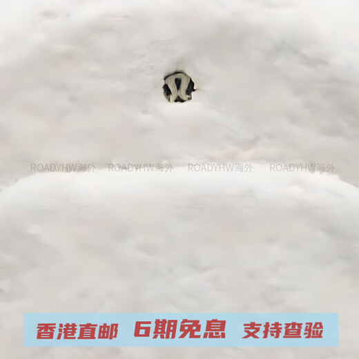 lululemon露露乐蒙Micro4L时尚休闲拉链开合拉绒面料双肩包超小号女款白色 白色 超小号