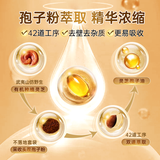 元生泰高三萜灵芝孢子油软胶囊赤灵芝孢子粉精华中老年人营养品保健品 0.5g*24粒/盒（礼盒装）