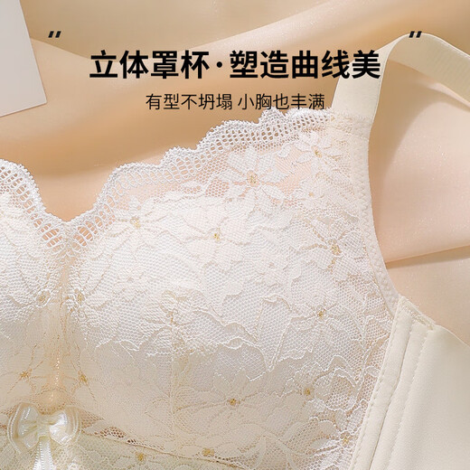 莫代尔内衣女聚拢小胸显大上托无钢圈调整型收副乳防下垂厚薄杯蕾丝文胸 黑色 70A 32B(厚杯)