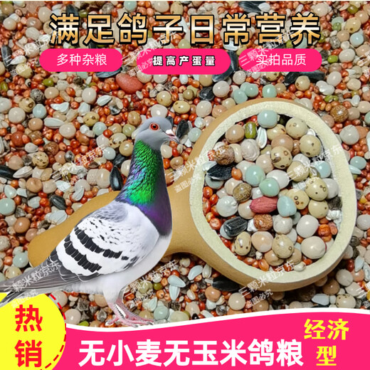 New pigeon food 20 Jin Jin is equal to 0.5 kg. Corn-free pigeon food with corn pigeon feed racing nutrition pigeon food for adult and young pigeons 5 Jin Jin is equal to 0.5 kg. No wheat and corn high-quality pigeon food 20 Jin Jin is equal to 0.5 kg.