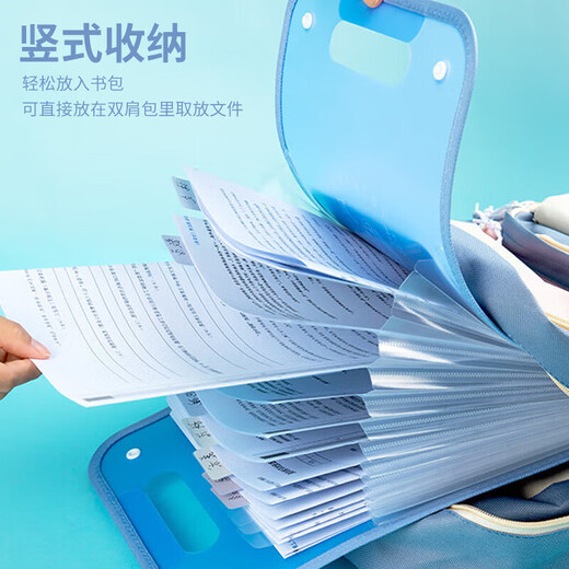 齐心（COMIX） A1490 RAY立式伸缩风琴包 MFA6187竖式风琴包 13格 竖式 13格 紫色-MFA6187