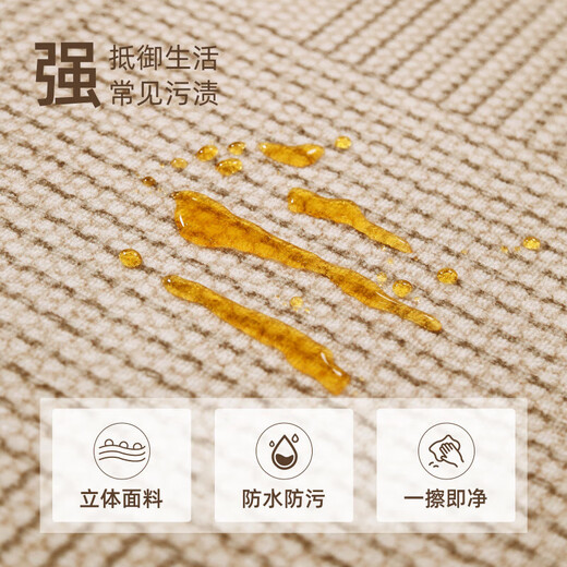 关东宜家客厅地毯2025新款侘寂风房间家用可擦洗地垫卧室床边地毯 方黎-16788 200cm*340cm 【黄金厚度】