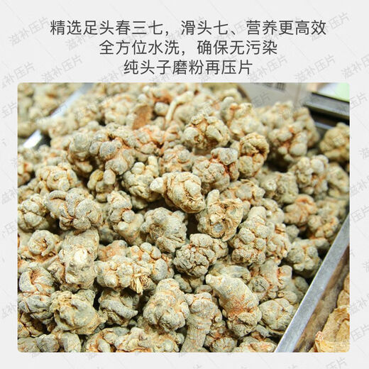 Beijing Tongrentang [Insignia de la tienda oficial] Tabletas de Notoginseng Panax Zizaiyying Yunnan Wenshan Clase especial Tianqi Powder Tablets auténtica Medicina China Powder Press 1 botella [20 cabezas. Panax NotoginSeng] [peso neto 250.2 gramos]