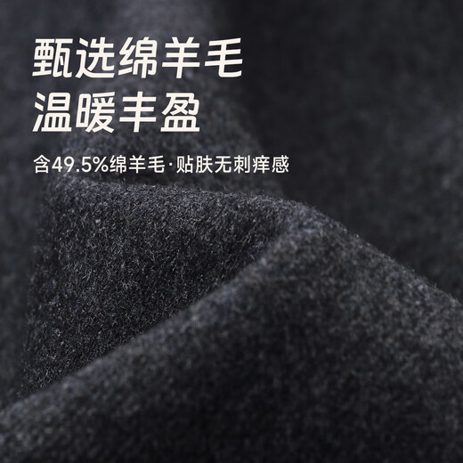 Septwolves Wool Jacket Men's Autumn Stand Collar Jacket Men's Lining Anti-static Simple Business Work Versatile Men's Clothing
