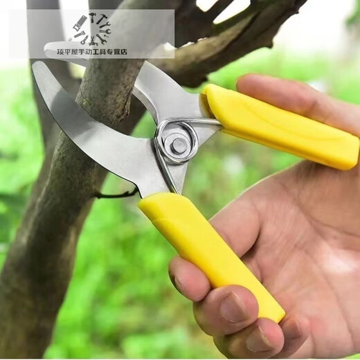 Fruit tree ring grafting shears, girdling shears, girdling shears, girdling shears, grape girdle girdling shears, fruit tree durable yellow girdling shears (no serrations)